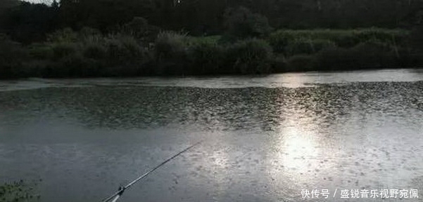 谷雨过后雨水增多,下雨野钓天垂钓策略