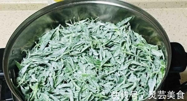 适应能力|三伏天,这野菜随处可见,清热解毒,可惜很多人把它当草!