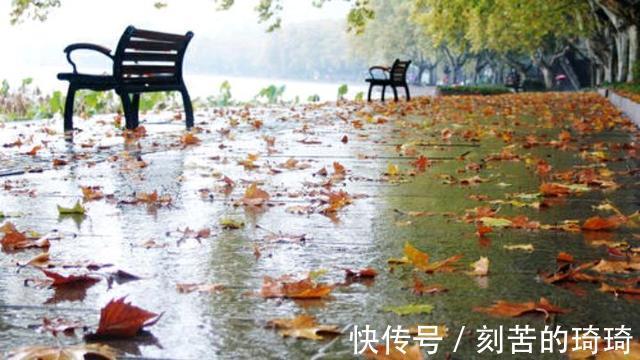 秋风&风婉约,雨薄凉,秋思缱绻秋韵静