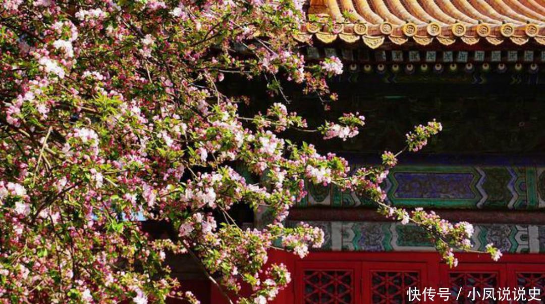 岑参两首不可不读的经典,每一首都很孤独,写出了繁华过后的落寞