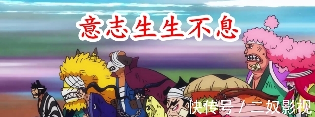 御田|海贼王974集：御田身死，一代传说落幕，但其意志生生不息