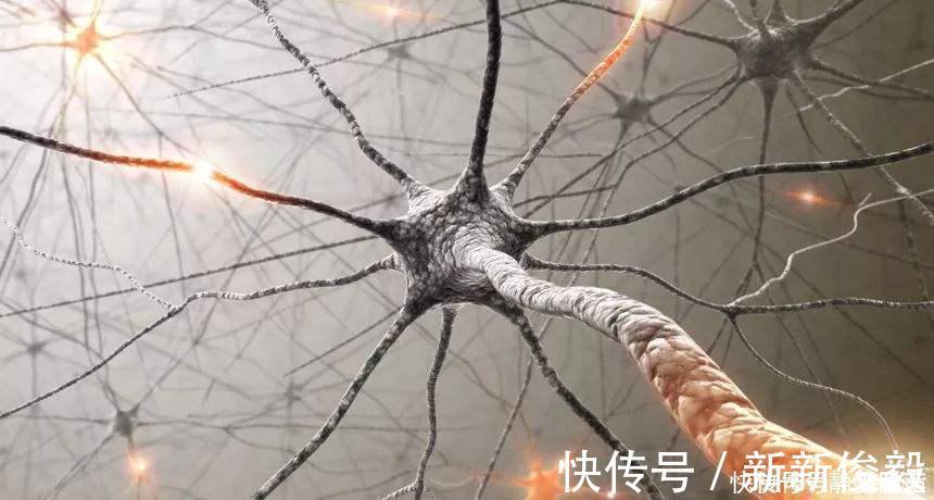 粗粮|一位长寿老者的建议:50岁后尽量多吃4种苦,晚年身体或会更健康