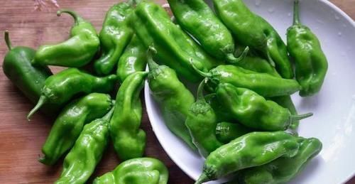 辣椒炒肉丝|买青椒时,什么样的青椒是辣的?菜农:牢记这3点,一挑一个准
