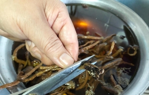 竹笙|朴素清淡的一碗汤，食材不简单，营养更丰富