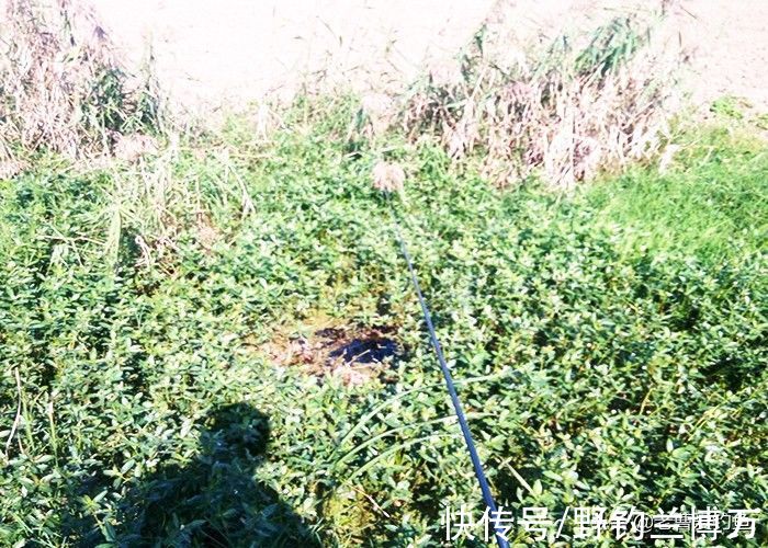 爱信不信！降温后，鲫鱼都藏在这5个地方