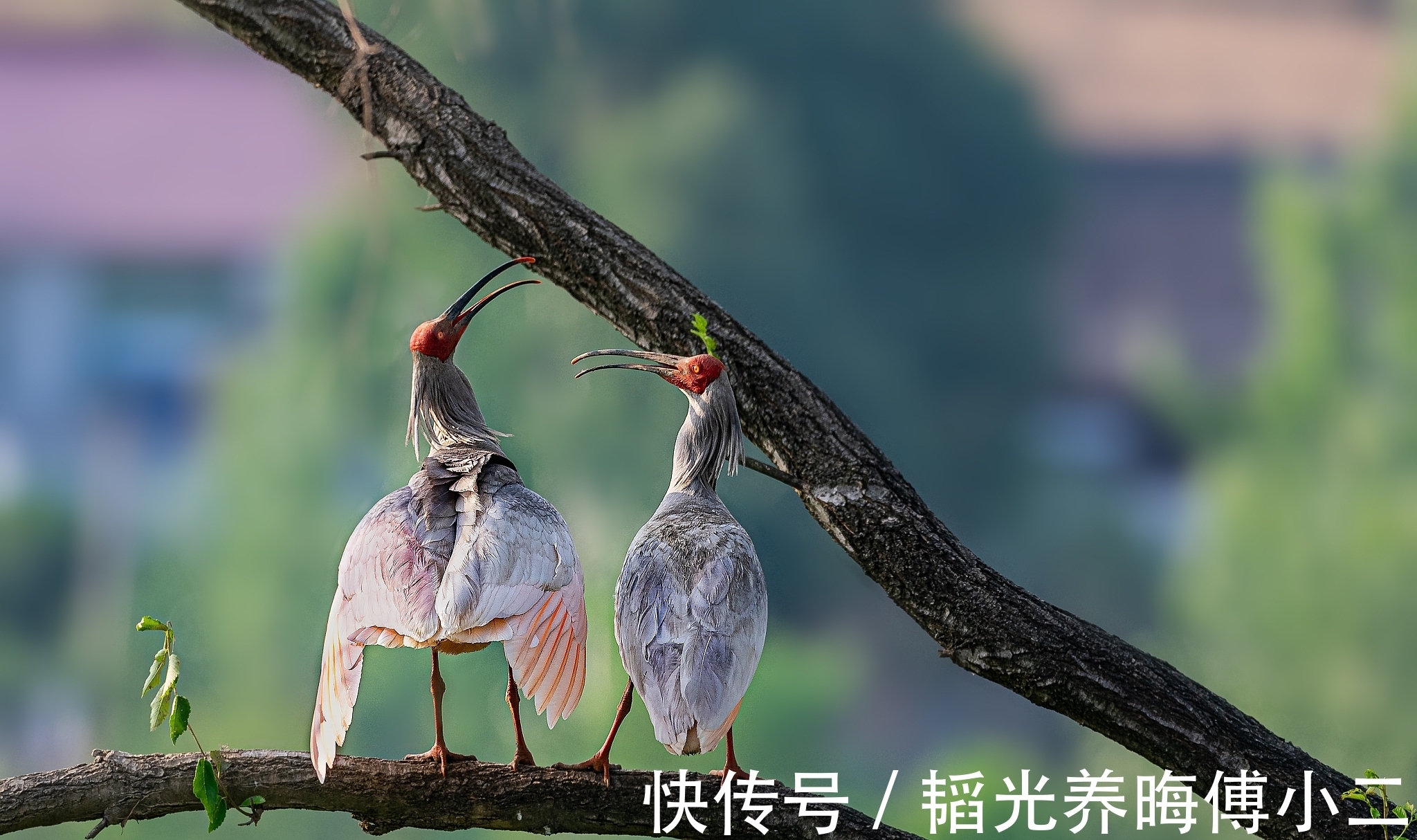 友情@这是一首歌颂友情的诗歌,对后世产生了深远影响,相信您不会陌生