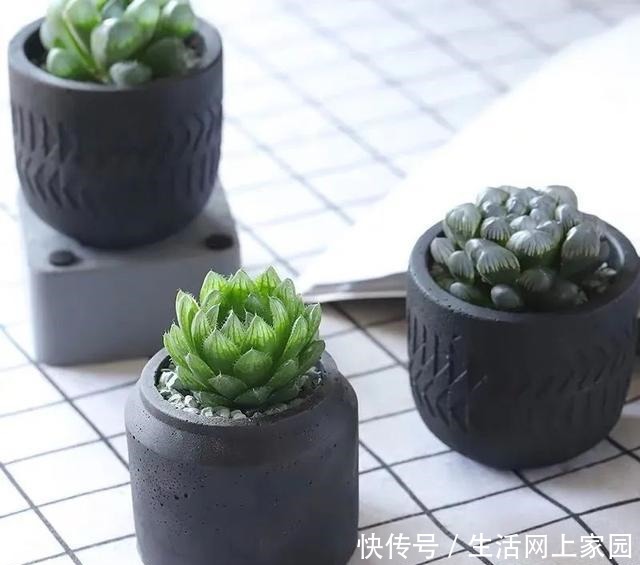 春光明媚,这八种花却不能多晒太阳,一晒就发蔫,赶紧搬屋里躲躲!