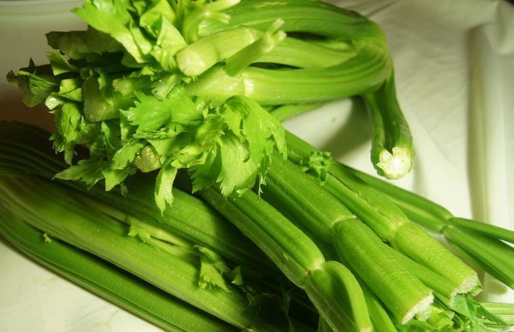 血压|降压的芹菜吃不好，也会造成高血压，芹菜不是随便做就能吃的健康