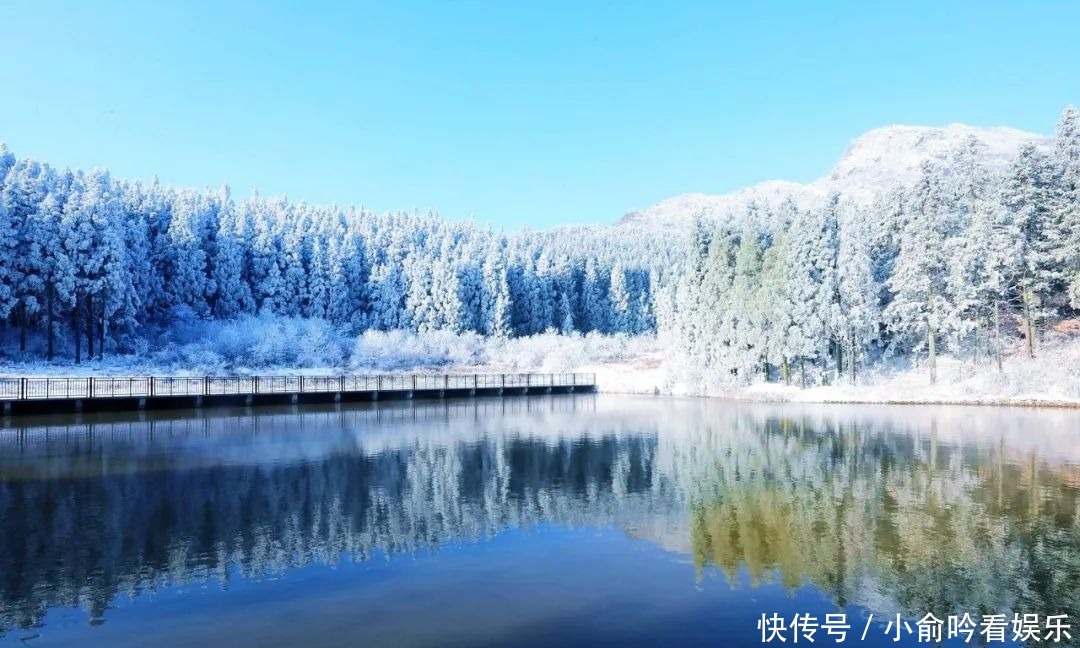 雪景|遂昌大美雪景图！让你一次看个够