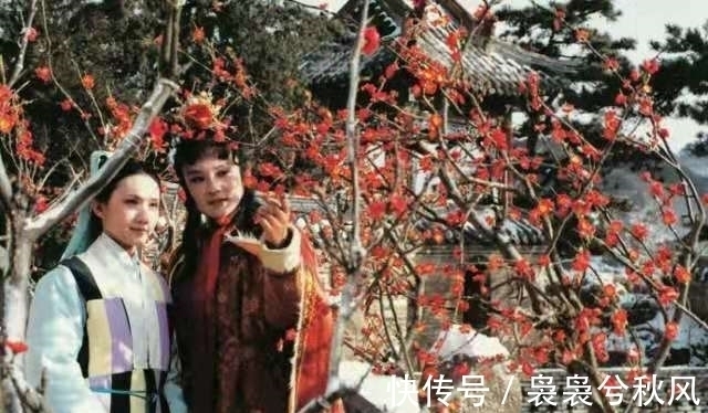 贾宝玉&李纨曾当众表达对妙玉的厌恶,妙玉是否进行过报复?答案在第75回