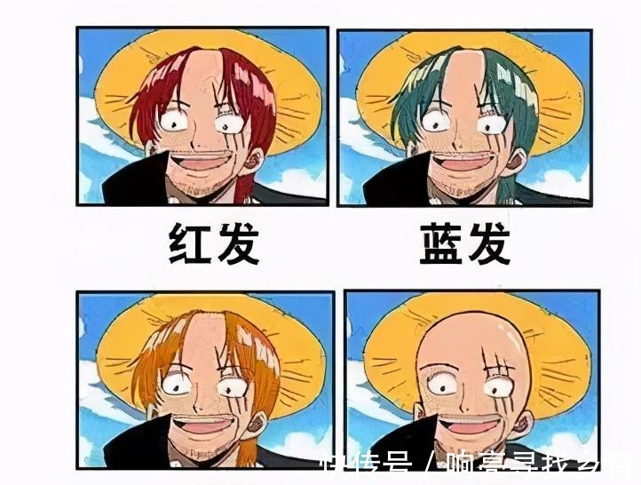 漫迷|漫迷用同近义词和反义词理解《海贼王》,看完整个思路开阔了
