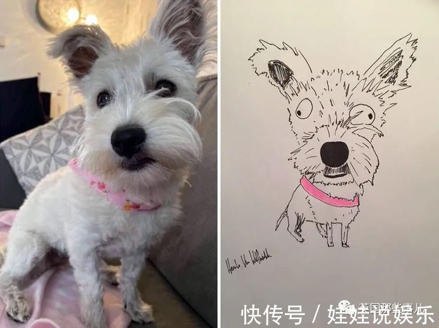 pet#随手涂鸦,自己觉得是“垃圾”的画作,没想到却在网上卖疯了