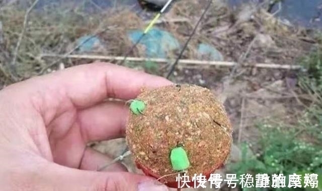 据说这钓法专攻“大鲤鱼”,每次抛竿入水都有口,连鲫鱼都不想钓