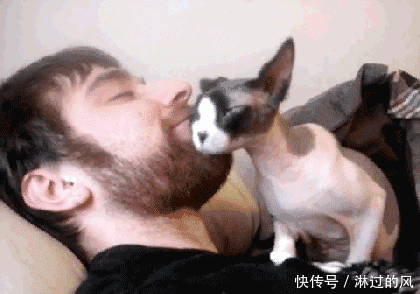  古人|论拍马屁，古人什么时候输过？拍马屁这门技术活在古代叫“谀”。