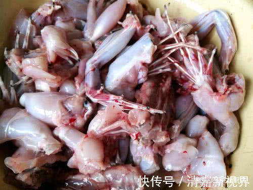 寄生虫|寄生虫最多的4种食物,水果也上榜了,最后一种大人小孩都爱吃的