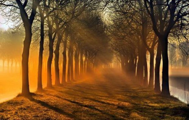 成功者&《道德经》:成功没有秘诀,但有原则;懂了原则,你也能成功!