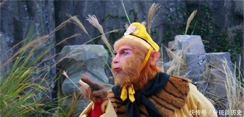 孙悟空|观音送孙悟空三根救命毫毛,为何中途却反悔,想要收回去?