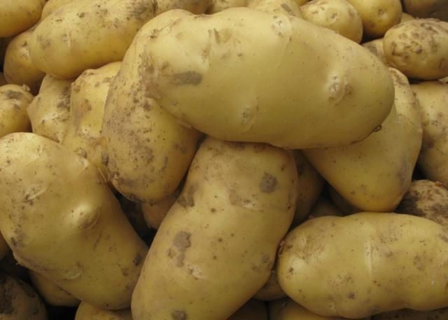 这才是土豆最过瘾的吃法,鲜香美味一口一个真好吃,做法还简单