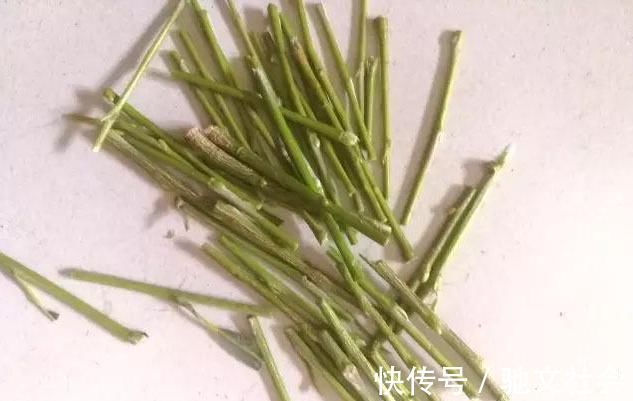 花卉|盆底垫上这一物,盆栽兰花、君子兰10年不烂根,还促生根多又壮