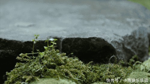 密室|杭州夫妻在家建密室，邻居超眼红：把开发商送的150㎡用到了极致