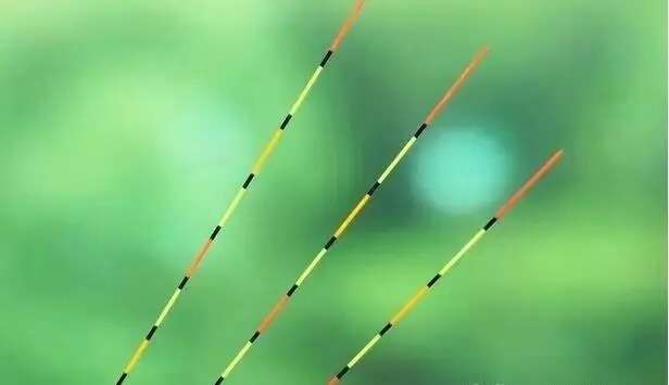 钓大鱼,搓饵的这些细节不可忽视,用好了上鱼至少翻一倍