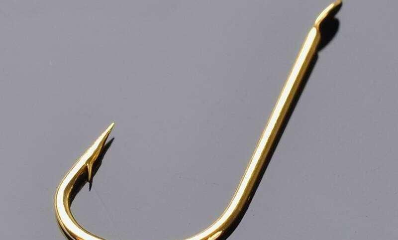 夏季钓鱼，为何经常跑鱼最大的原因是“你钓错了”