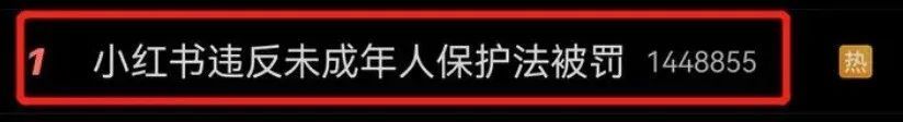 小红|小红书被罚！原因竟是……