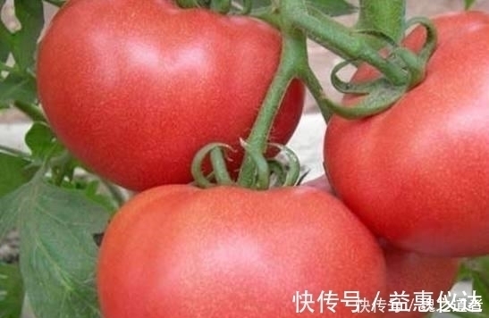 山野处|肝脏不好的人记得多吃这些蔬菜,帮你排出肝脏毒素,保护好肝脏