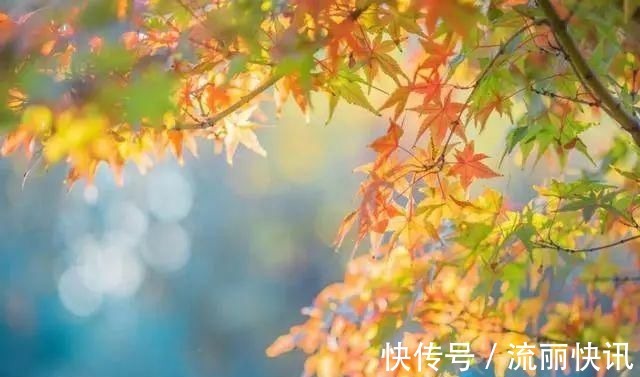 经典@送你最美的30首短诗,首首经典,谁读了都会心醉