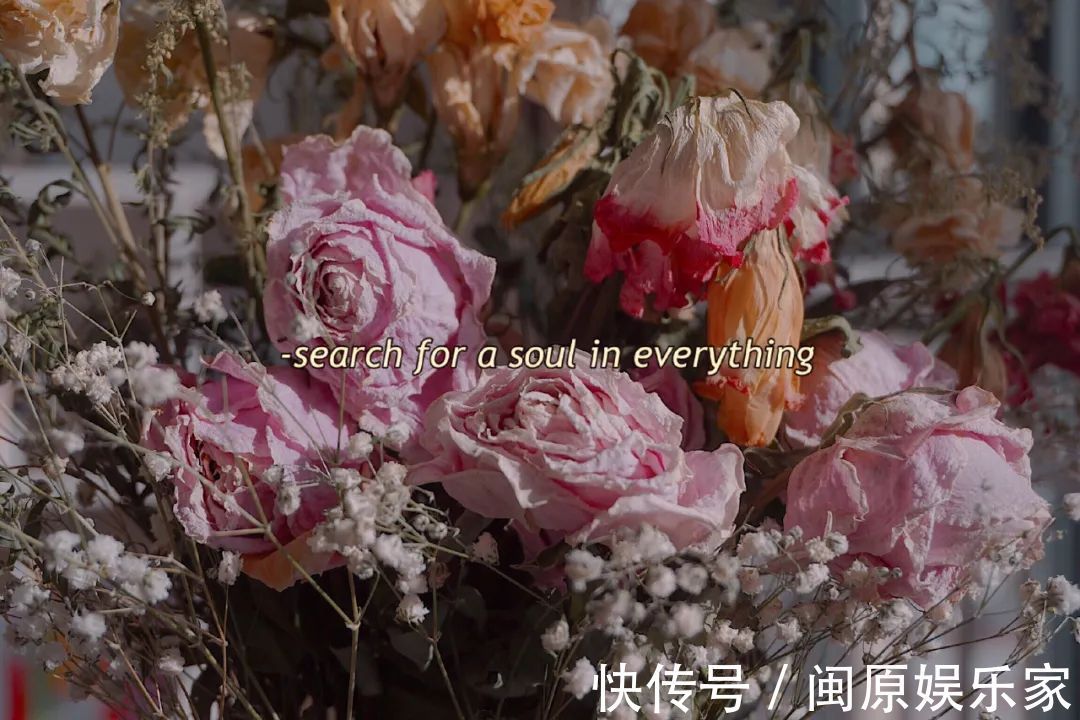 村上春树|神仙·封面丨高情已逐晓云空,不与梨花同梦