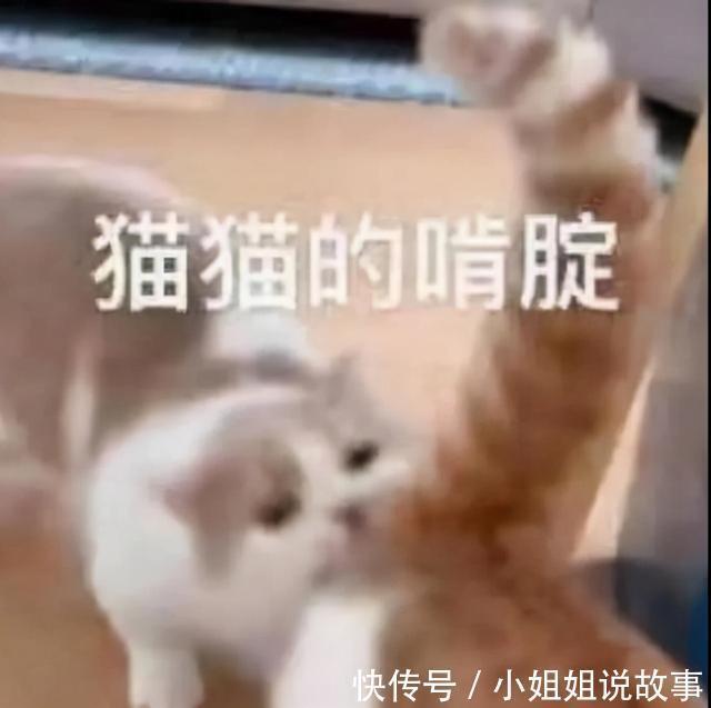 |搞笑表情包更新:再坚持坚持,一辈子很快就过去了