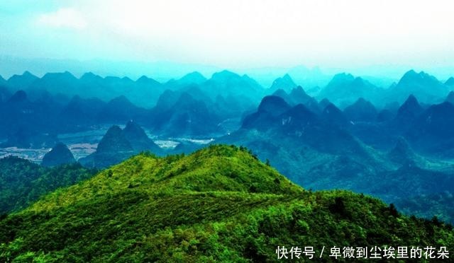 爆火|五本至今未成神却意外爆火的神级小说,你觉得哪本会在明年封神