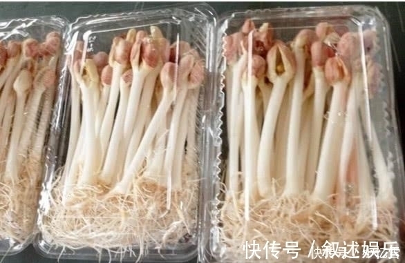 宿便|女人不吃它就可惜了,隔天拉出黑臭宿便,越吃越瘦,色斑也消失了