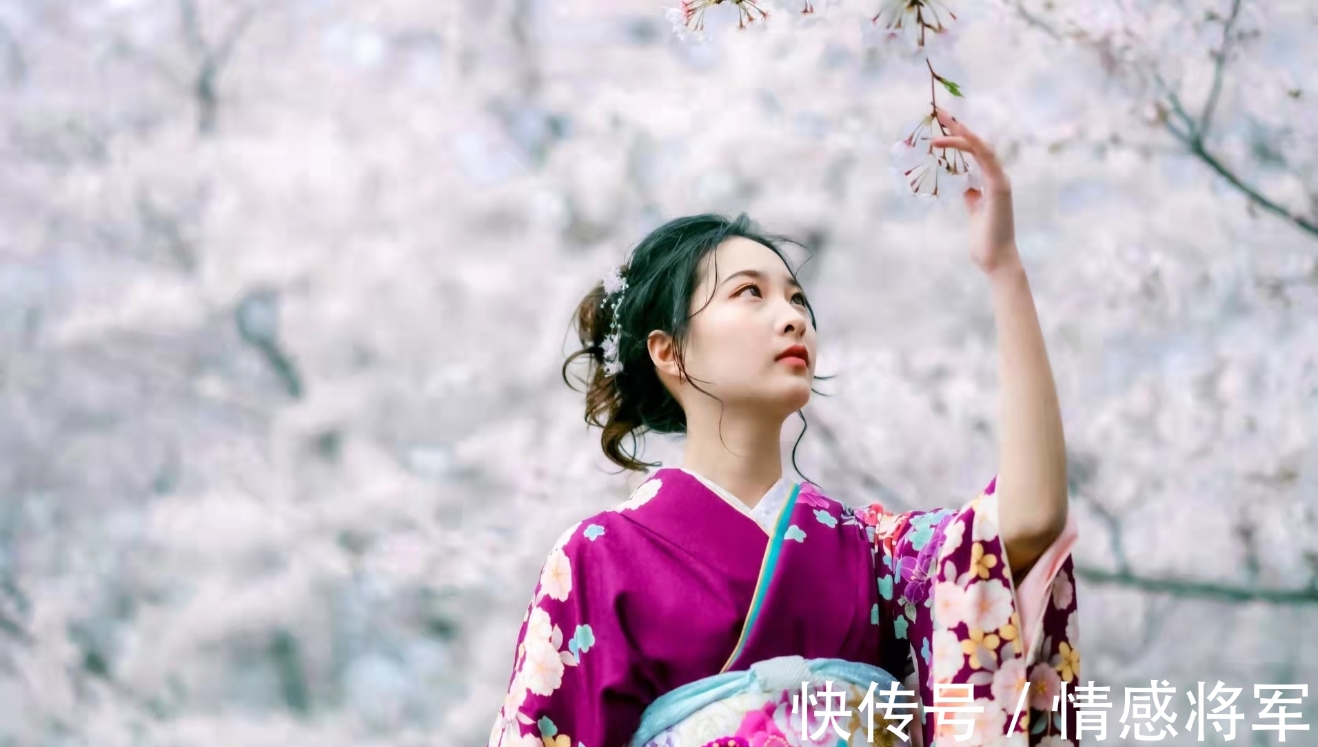 犬豚!七言格律:春飞玉宇空来鹤,酒兴山川乱卷云