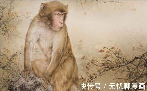 金猴|生肖猴未来30年命运：尤其是80年的，命好的连老天爷都嫉妒！