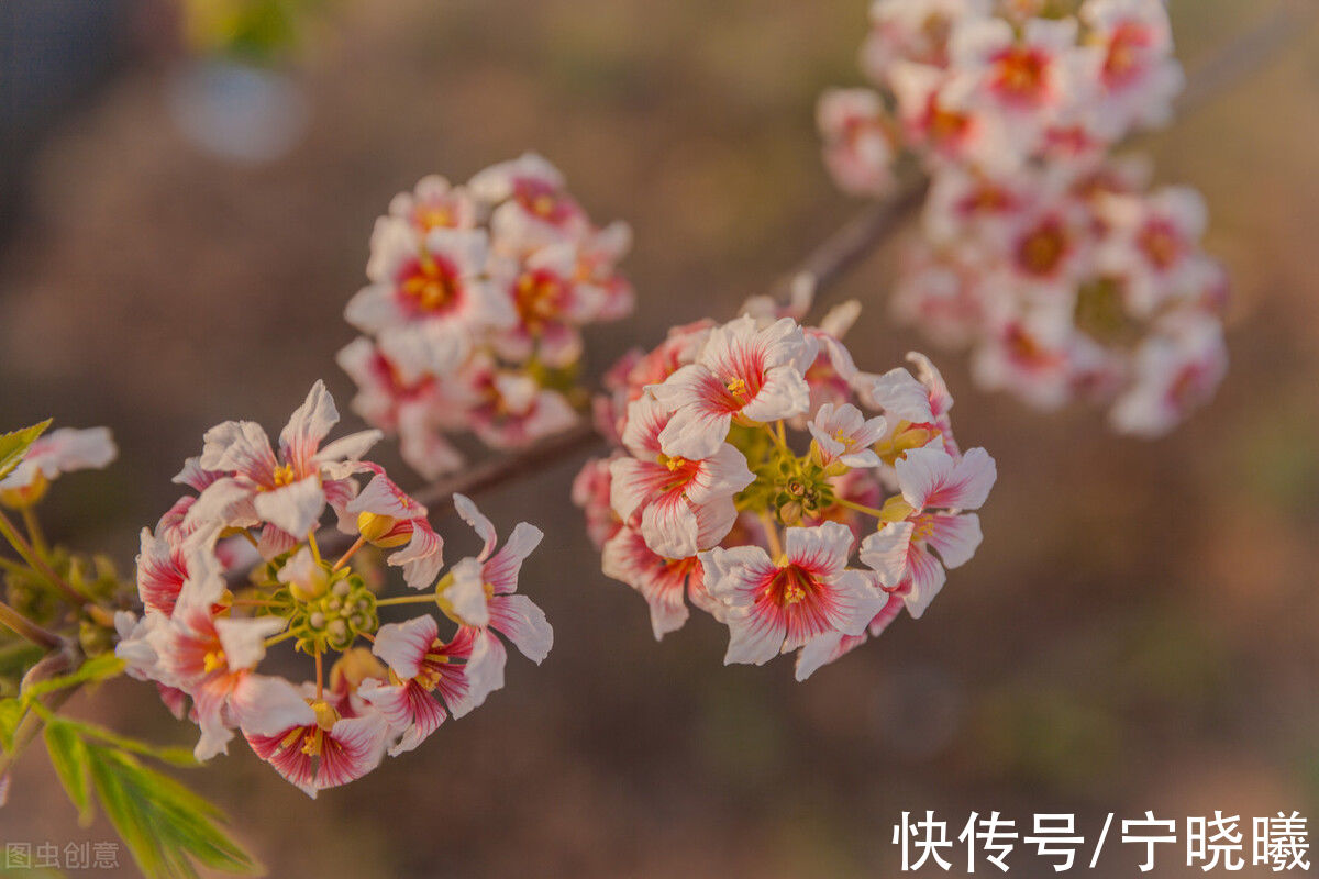 行事风格|水瓶座的行事风格，比预想中更独特