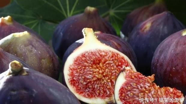 润肺|它是肺部“清洁工”,坚持泡水喝,润肺通便,肺会更“舒服”!