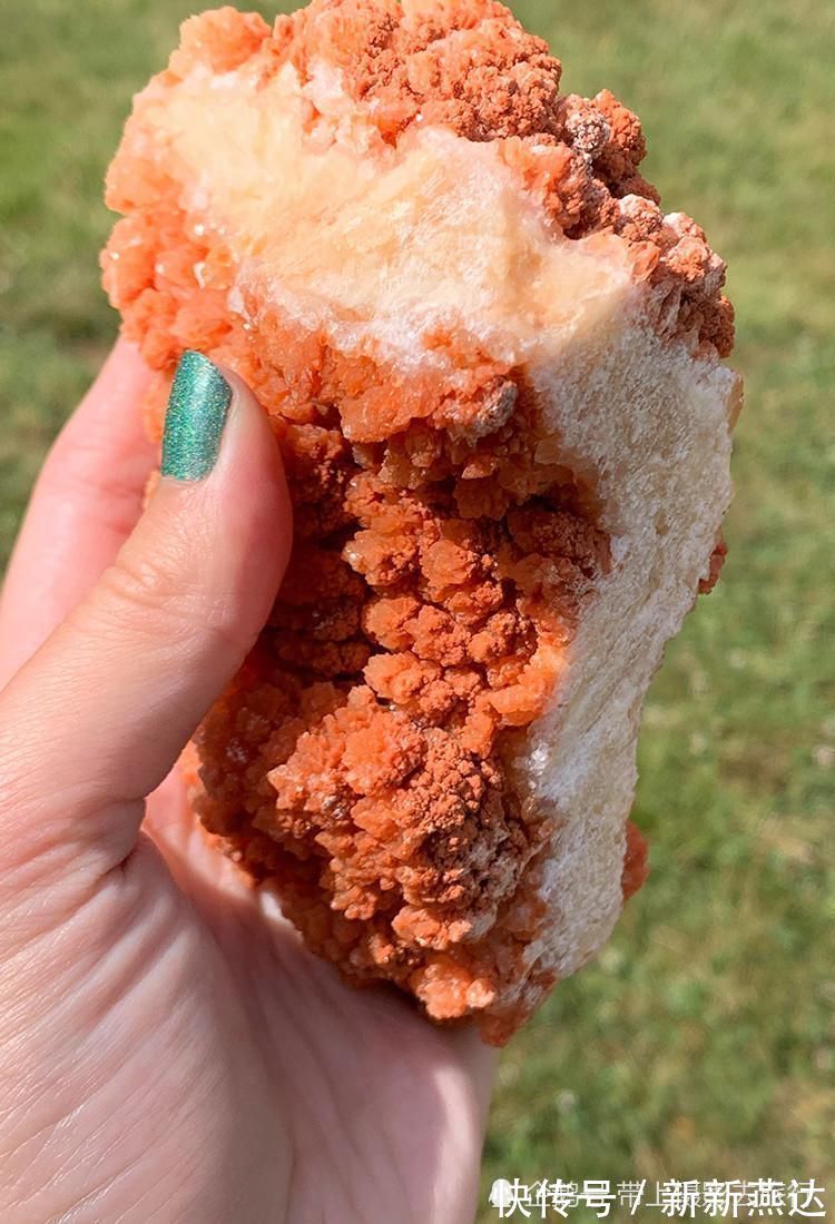 她收获一块鸡排石头，因太美味走红，网友好想咬一口