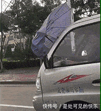 |搞笑GIF趣图:劈叉我见多了,但是这样的真没见过