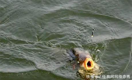 干货！钓鱼人应该熟知的风力常识，助你在垂钓中更加得心应手