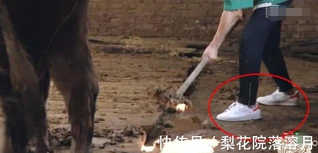 爸爸|魏大勛跟爸爸回農村，滿地都是牛糞，魏大勛的反應亮了！