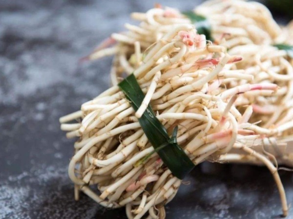 氨基酸|埋没在农村的4种抗癌野菜,比蒲公英好几十倍,现在挖还不晚!