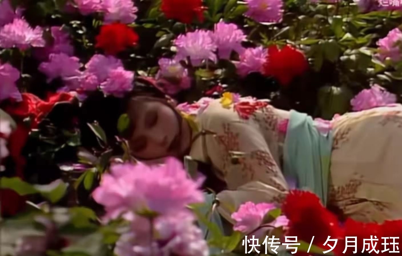 芍药!没有对比就没有伤害,一个简单的睡姿,看两版《红楼梦》的差距