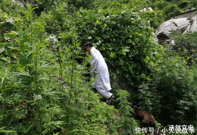 女子终南山隐居隐逸就是回归自然吗古人可能并非都如此认为