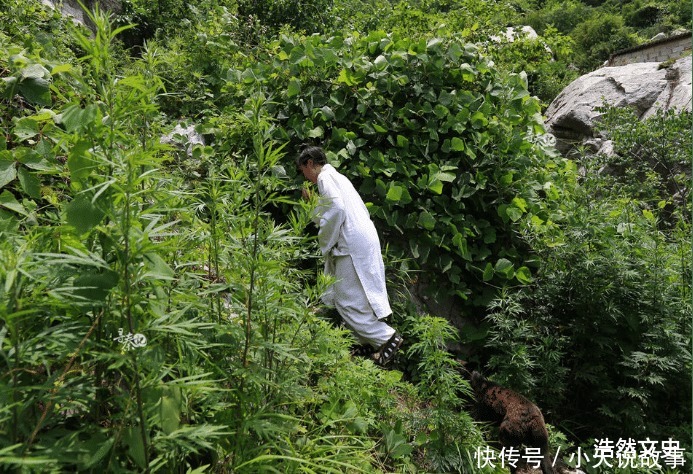  女子终南山隐居隐逸就是回归自然吗古人可能并非都如此认为