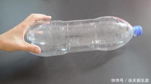 月季|塑料瓶太好用了!扦插月季、叶插多肉,都能派上用场