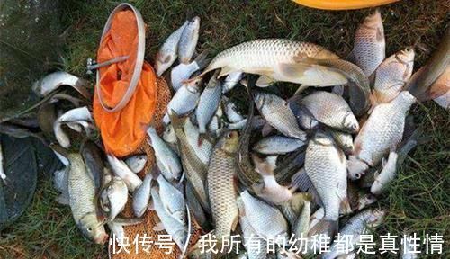 钓友|野钓中钓点选择技巧:从4个方向入手,选出来的都是鱼扎堆的地方