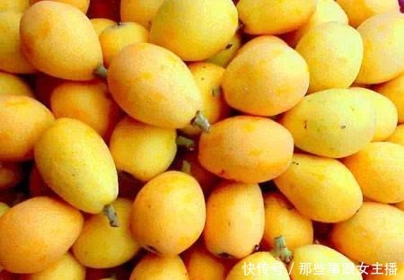 枇杷果的功效与作用不得了,好一颗美味的枇杷果