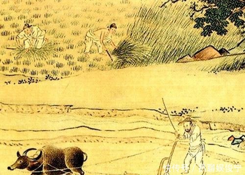 宋朝|从乡间精英阶层角度着手,看待宋朝对农村社会的管控