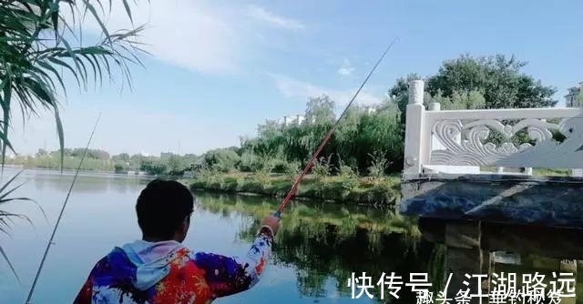 浮漂上有信号,就是提不上鱼,多数是这五个原因导致!